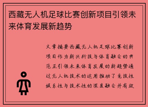 西藏无人机足球比赛创新项目引领未来体育发展新趋势