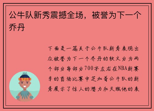 公牛队新秀震撼全场，被誉为下一个乔丹